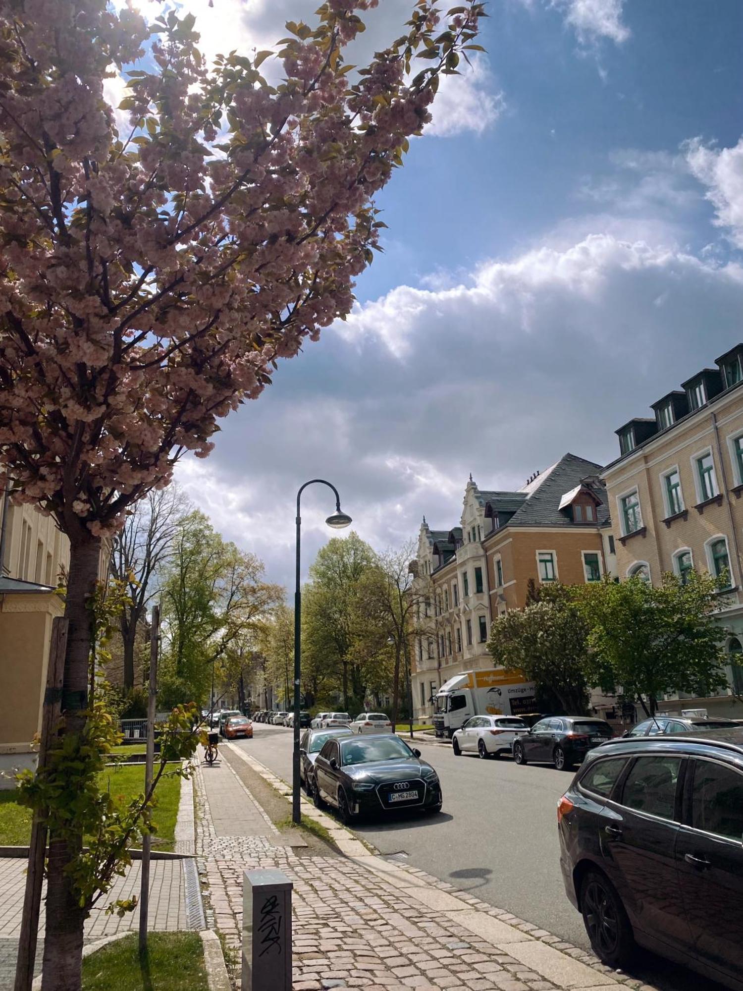 Apartment 371living, Altbau-charme Am Kassberg, Perfekt Fuer Workation, Urlaub Oder Kurztrip, Entdecke Chemnitz, Moderne Kueche, Waschmaschine, Smart Tv, Schnelles Wlan, Bequemes Bett *